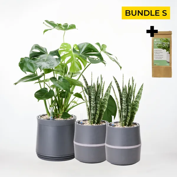 Wohlfühlraum Bundle S