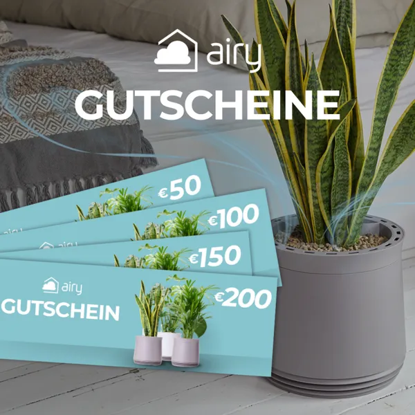 AIRY Geschenkgutschein