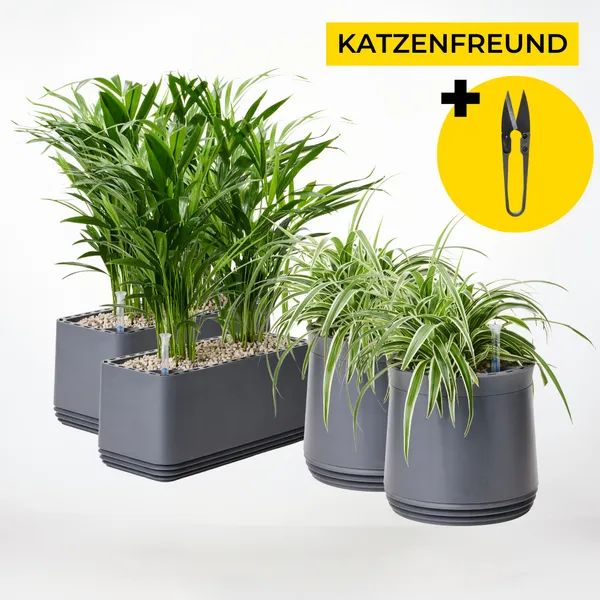 Katzenfreund