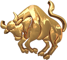 Stier